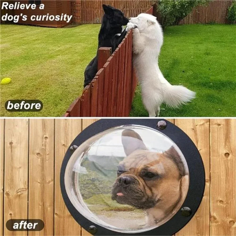 Fence Window for Pets